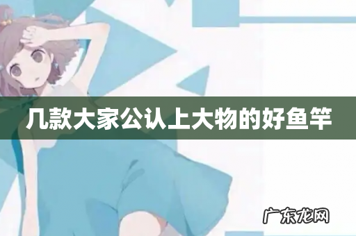 几款大家公认上大物的好鱼竿