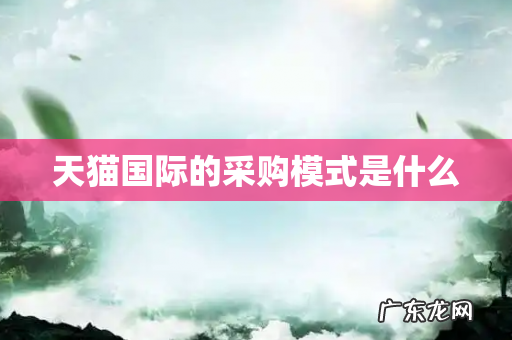 天猫国际的采购模式是什么
