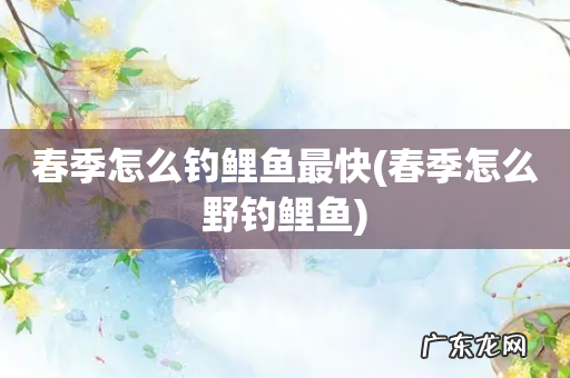 春季怎么野钓鲤鱼 春季怎么钓鲤鱼最快