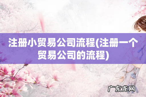 注册一个贸易公司的流程 注册小贸易公司流程