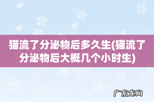 猫流了分泌物后大概几个小时生 猫流了分泌物后多久生