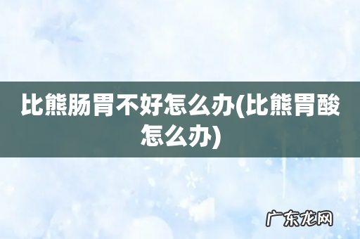 比熊胃酸怎么办 比熊肠胃不好怎么办