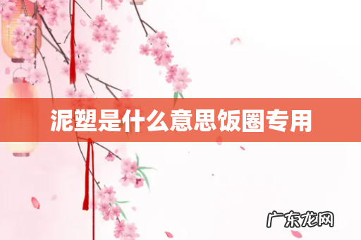 泥塑是什么意思饭圈专用