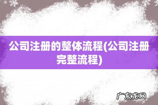 公司注册完整流程 公司注册的整体流程