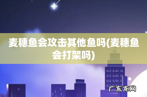 麦穗鱼会打架吗 麦穗鱼会攻击其他鱼吗