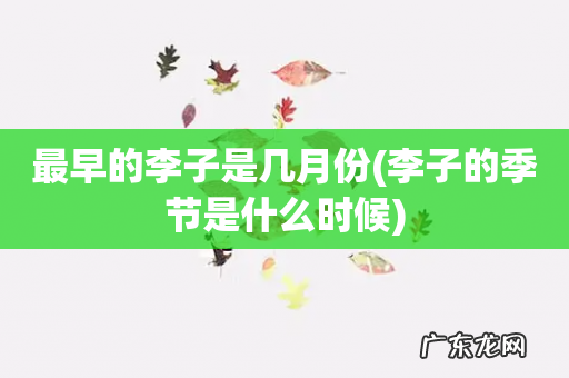 李子的季节是什么时候 最早的李子是几月份