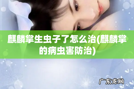 麒麟掌的病虫害防治 麒麟掌生虫子了怎么治