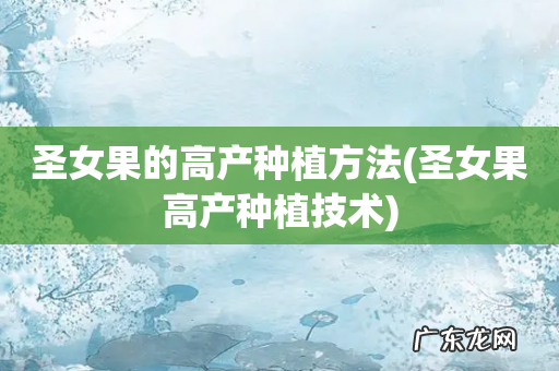 圣女果高产种植技术 圣女果的高产种植方法