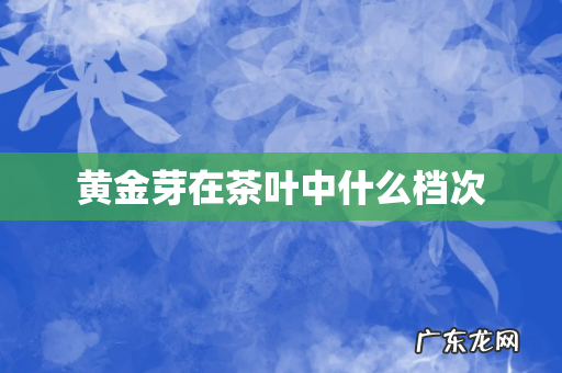 黄金芽在茶叶中什么档次