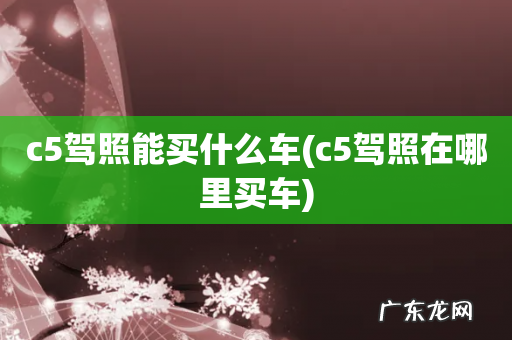 c5驾照在哪里买车 c5驾照能买什么车