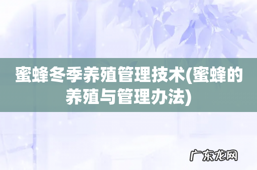蜜蜂的养殖与管理办法 蜜蜂冬季养殖管理技术