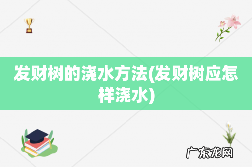 发财树应怎样浇水 发财树的浇水方法