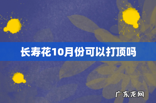 长寿花10月份可以打顶吗