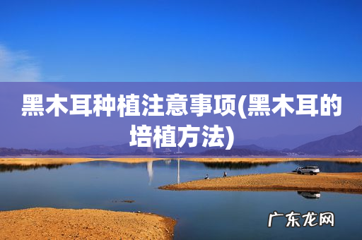 黑木耳的培植方法 黑木耳种植注意事项