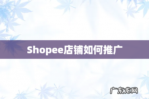 Shopee店铺如何推广
