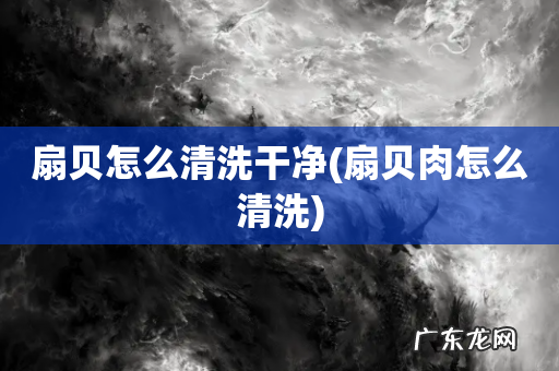 扇贝肉怎么清洗 扇贝怎么清洗干净