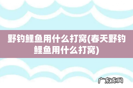 春天野钓鲤鱼用什么打窝 野钓鲤鱼用什么打窝