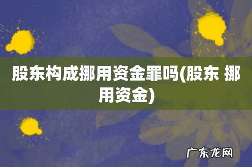 股东 挪用资金 股东构成挪用资金罪吗