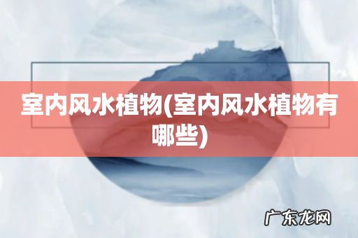 室内风水植物有哪些 室内风水植物