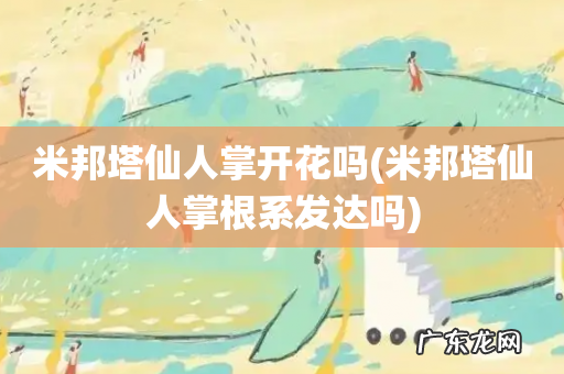 米邦塔仙人掌根系发达吗 米邦塔仙人掌开花吗