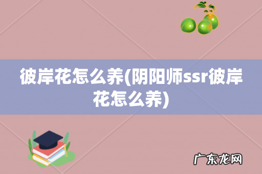 阴阳师ssr彼岸花怎么养 彼岸花怎么养