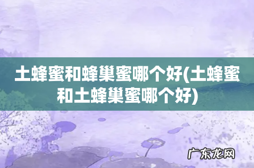 土蜂蜜和土蜂巢蜜哪个好 土蜂蜜和蜂巢蜜哪个好