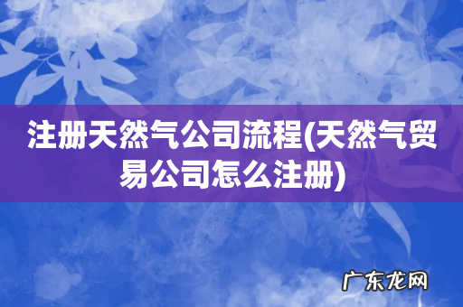 天然气贸易公司怎么注册 注册天然气公司流程