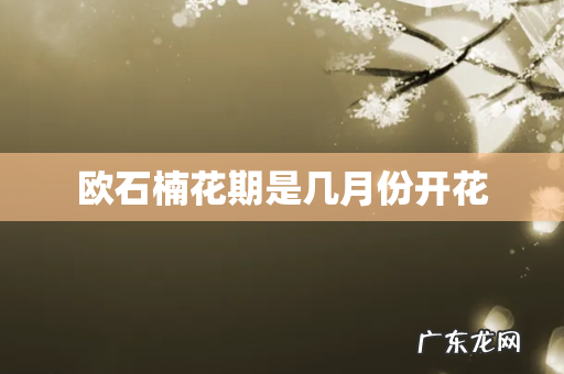 欧石楠花期是几月份开花