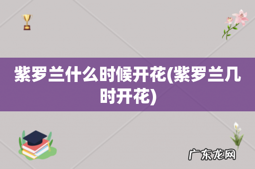 紫罗兰几时开花 紫罗兰什么时候开花