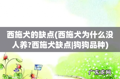 西施犬为什么没人养?西施犬缺点|狗狗品种 西施犬的缺点