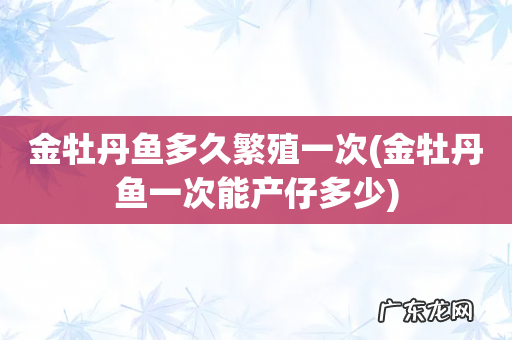 金牡丹鱼一次能产仔多少 金牡丹鱼多久繁殖一次