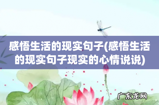 感悟生活的现实句子现实的心情说说 感悟生活的现实句子