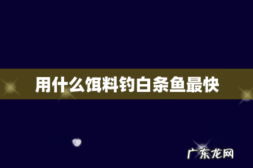 用什么饵料钓白条鱼最快