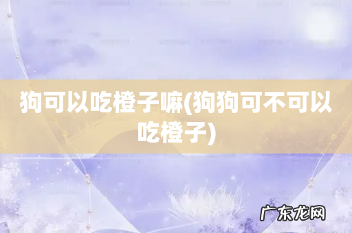 狗狗可不可以吃橙子 狗可以吃橙子嘛