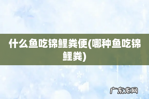 哪种鱼吃锦鲤粪 什么鱼吃锦鲤粪便