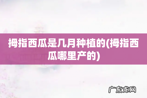 拇指西瓜哪里产的 拇指西瓜是几月种植的