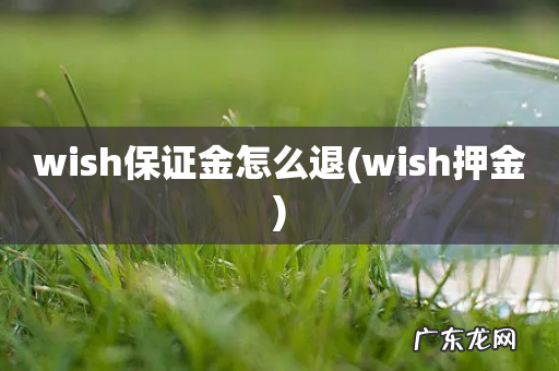 wish押金 wish保证金怎么退