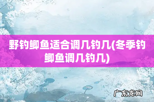 冬季钓鲫鱼调几钓几 野钓鲫鱼适合调几钓几
