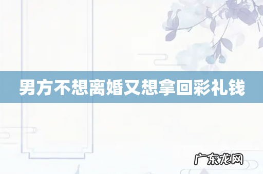 男方不想离婚又想拿回彩礼钱