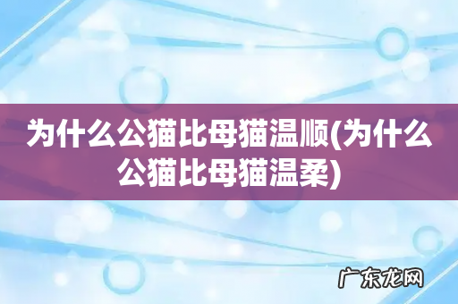 为什么公猫比母猫温柔 为什么公猫比母猫温顺