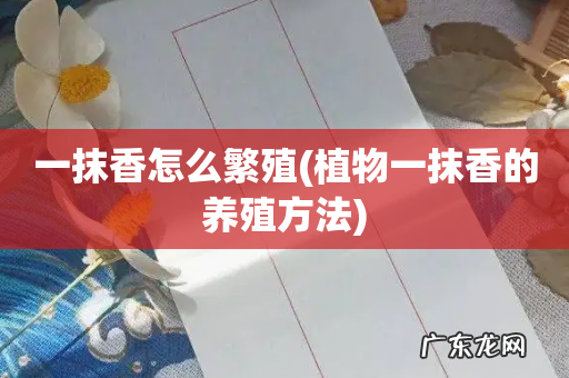 植物一抹香的养殖方法 一抹香怎么繁殖