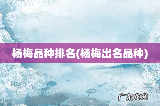 杨梅出名品种 杨梅品种排名