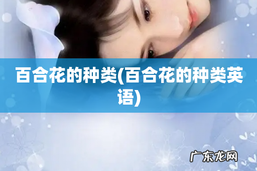 百合花的种类英语 百合花的种类