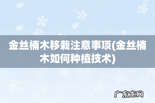 金丝楠木如何种植技术 金丝楠木移栽注意事项