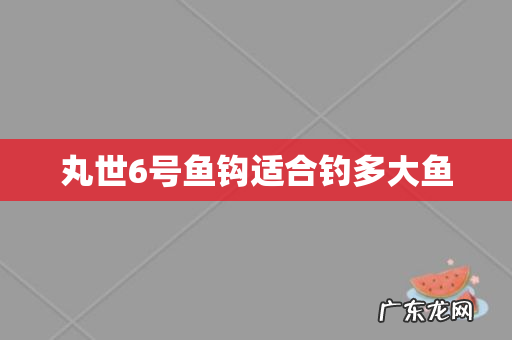 丸世6号鱼钩适合钓多大鱼