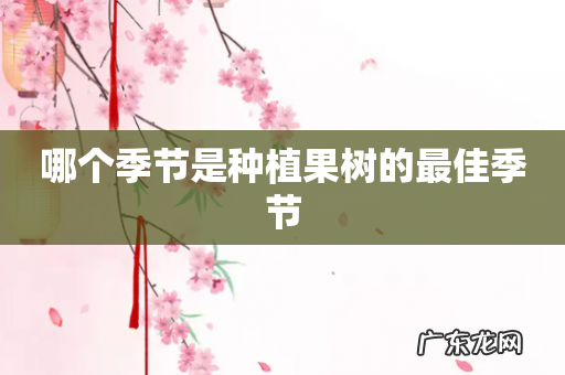 哪个季节是种植果树的最佳季节