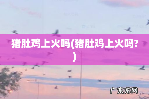 猪肚鸡上火吗? 猪肚鸡上火吗