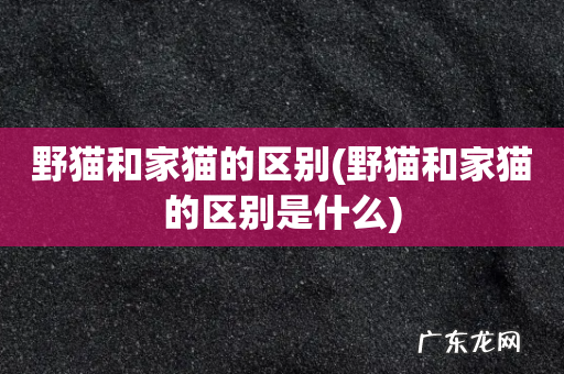 野猫和家猫的区别是什么 野猫和家猫的区别