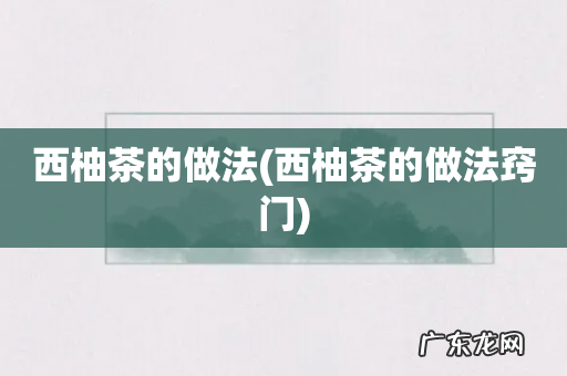 西柚茶的做法窍门 西柚茶的做法