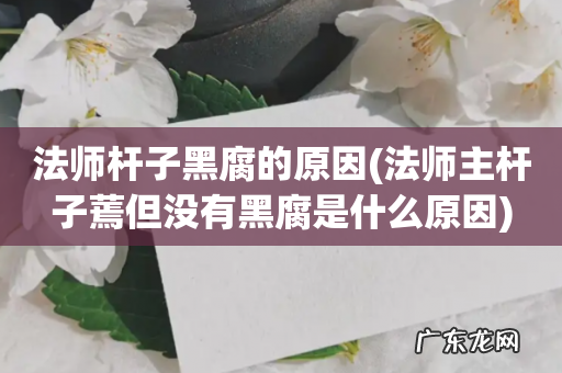 法师主杆子蔫但没有黑腐是什么原因 法师杆子黑腐的原因